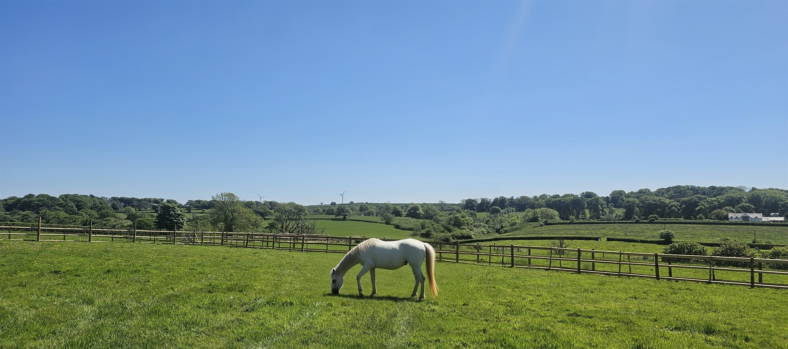 Redford Caravan Park