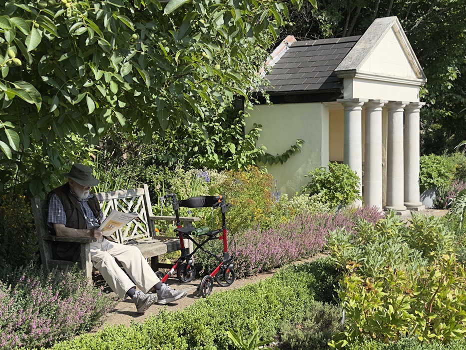 Cowbridge Physic Garden