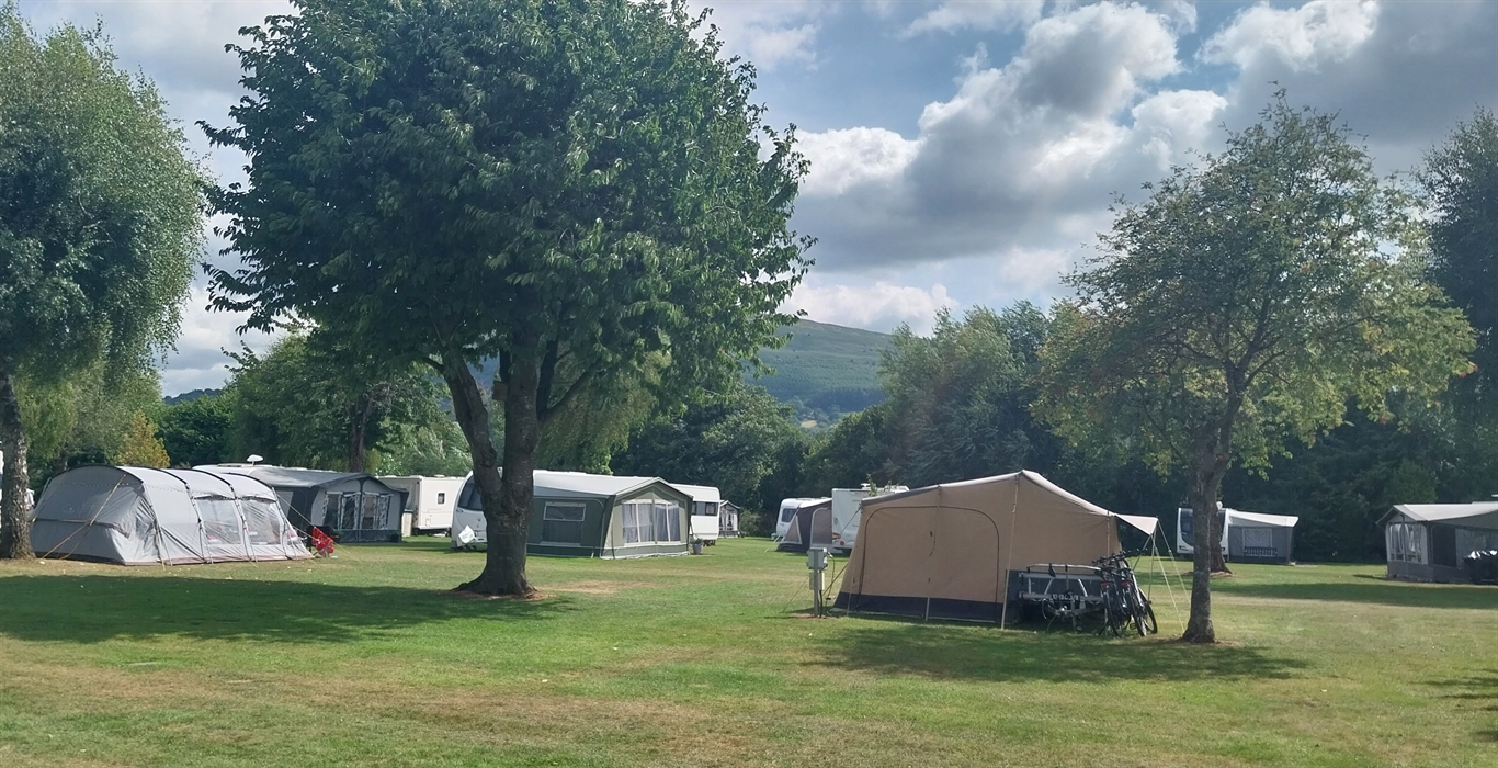 Tents set up at Pyscodlyn under the shade of the trees in mid summer