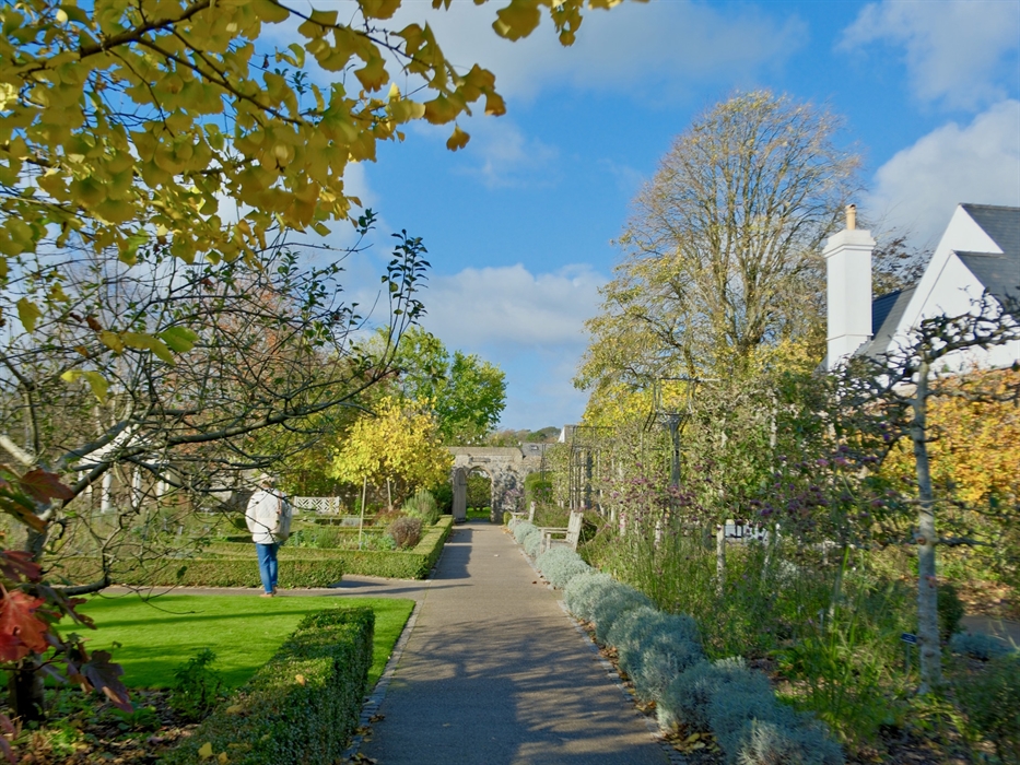 Cowbridge Physic Garden