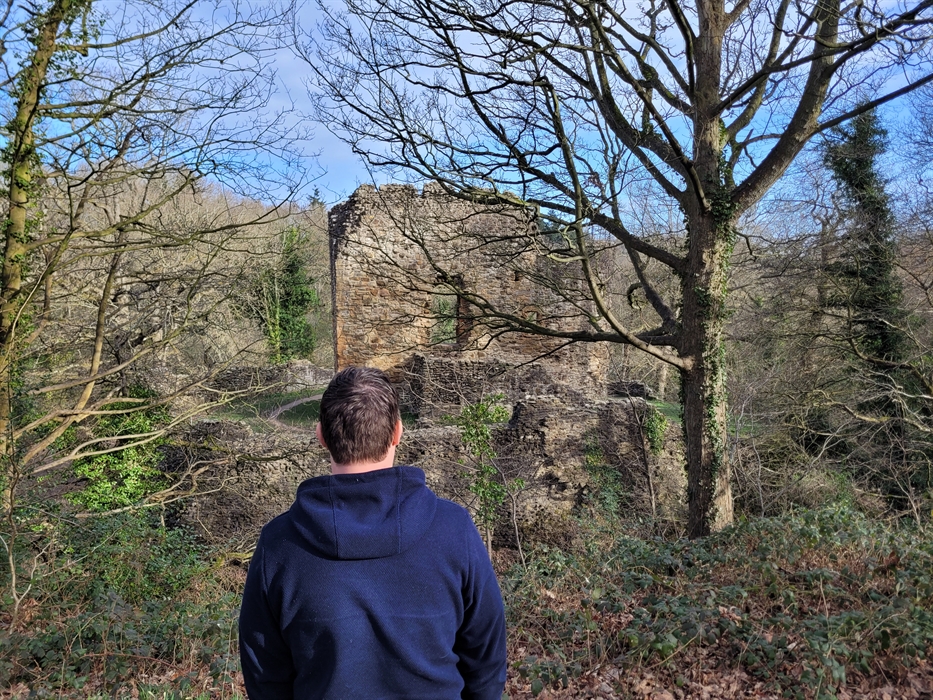 A person looking at a ruin surrounded by trees