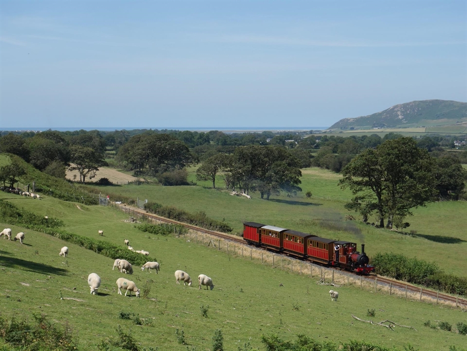 Locomotive No.2 travels up the line through fields of sheep