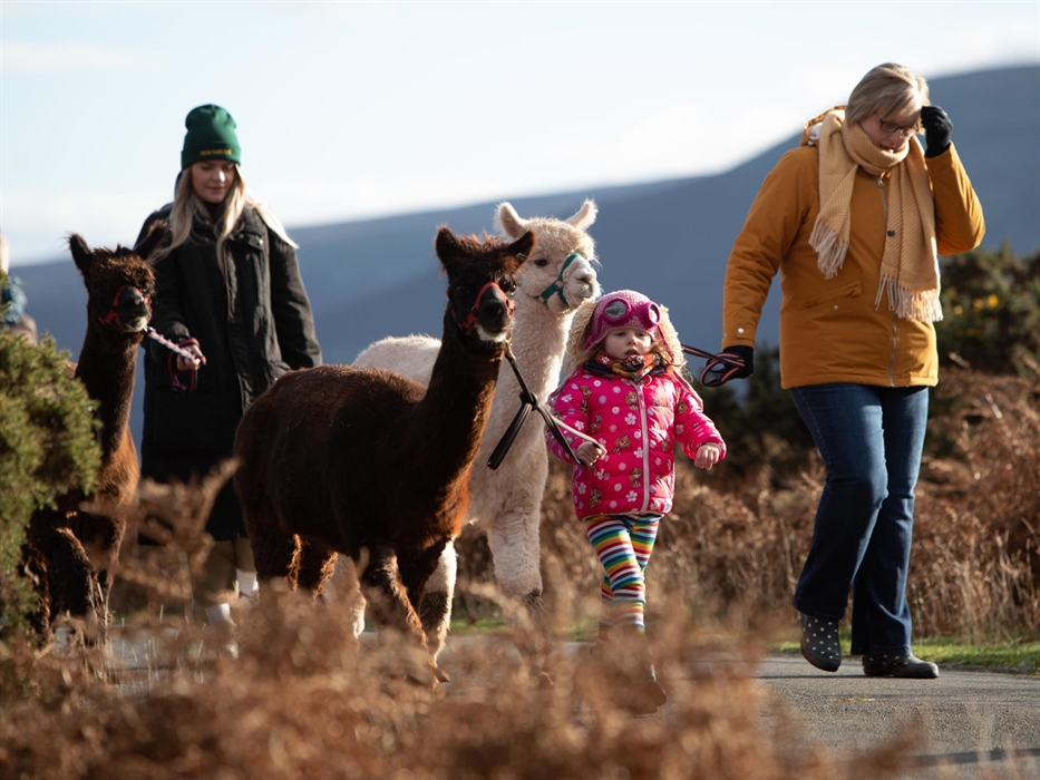 Family Friendly Day Out