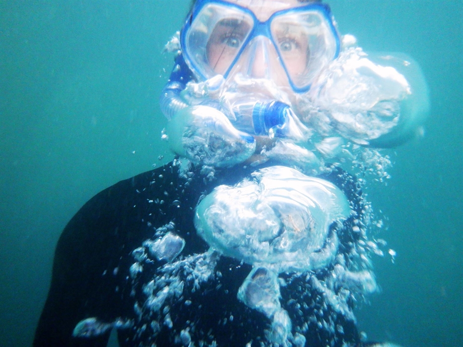 Snorkelling on Coastal Explorer Days