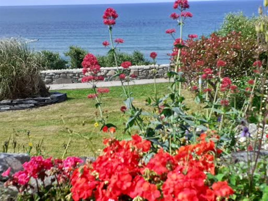 The garden view from your patio.