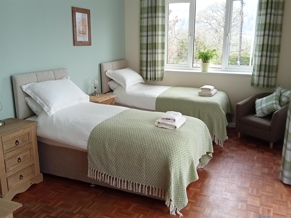 Our beautiful twin room en-suite with pet and walking friendly flooring