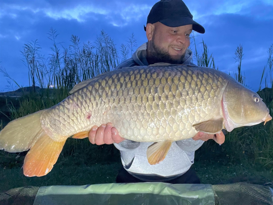 27lb common