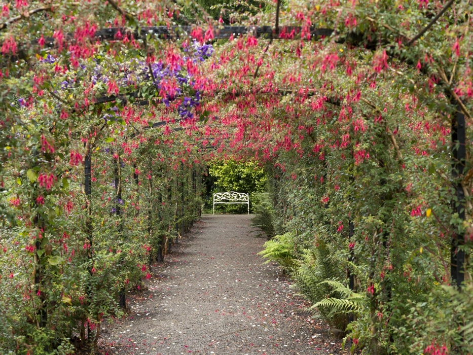 An archway with fuschia planting dropping from the top