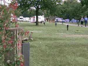 Cardiff Caravan Park