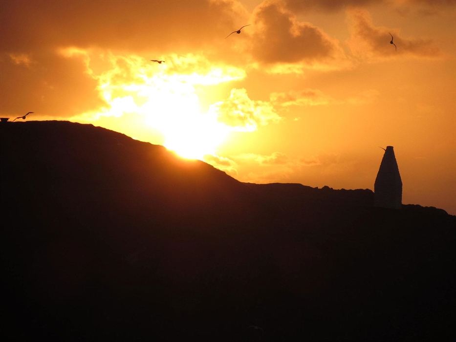 Seagulls silhouetted against the setting sun at Porthgain in Pembrokeshire.
