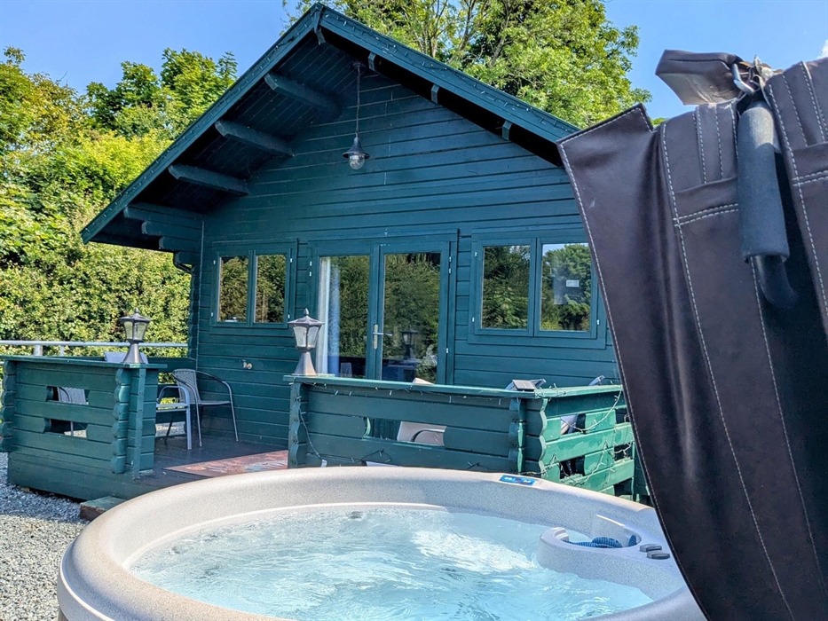 Tad cabin hot tub