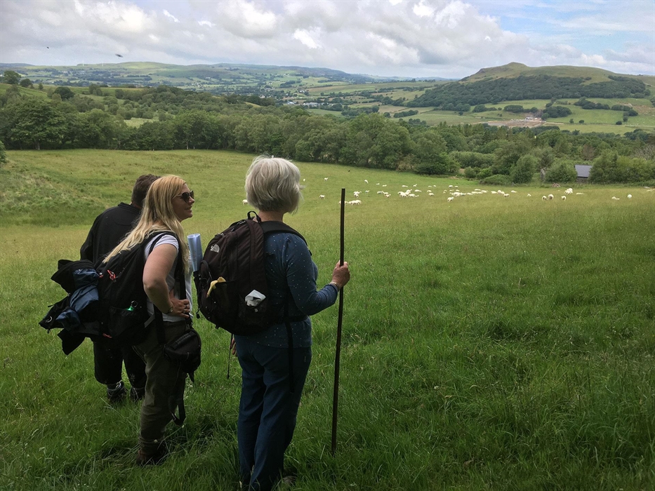 Small group above Strata Florida, Ceredigion.
