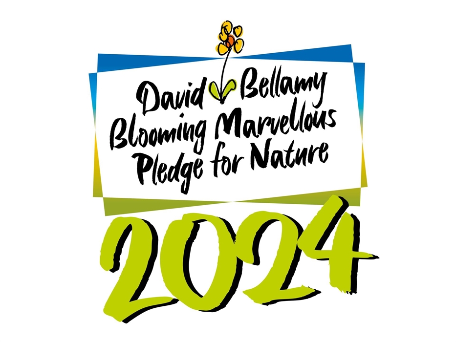 David Bellamy Award