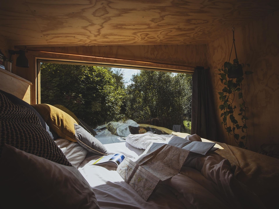 An unmade bed with a map spread out over it. A large window with a view to woodland immediately outdoors.