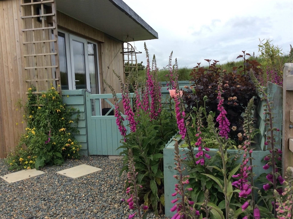Gorgeous tiny house in Pembrokeshire's Preseli hills
