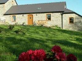 Cottage Pie & Shepherds Pie