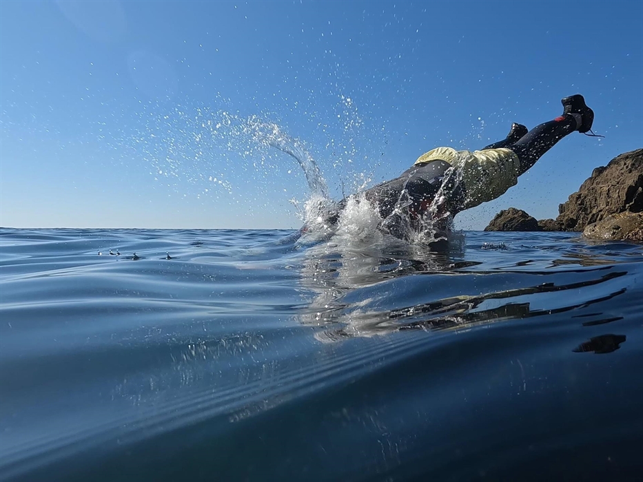 Dive into action at Lydstep