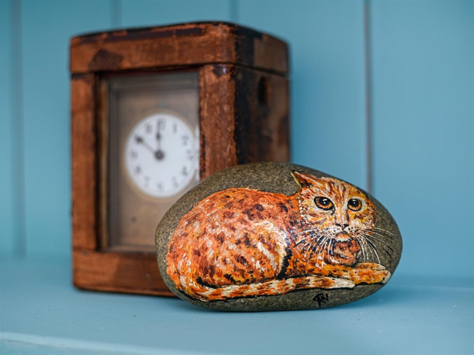 Holiday cottage Dolgellau