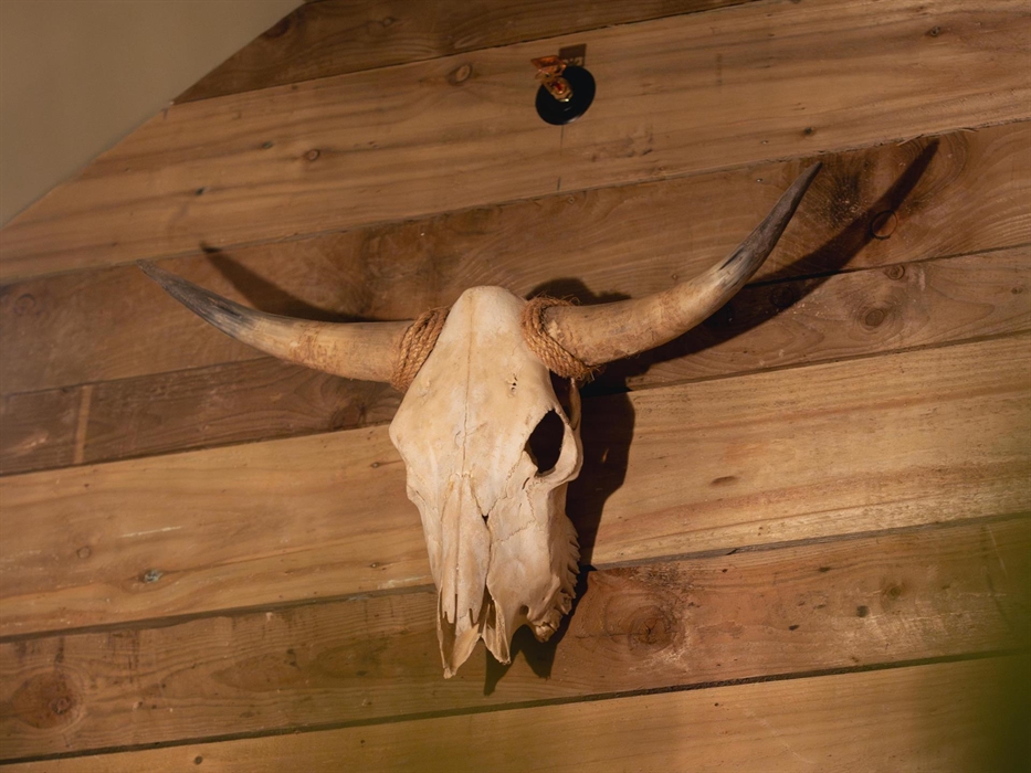 Original treasures - meet Pete