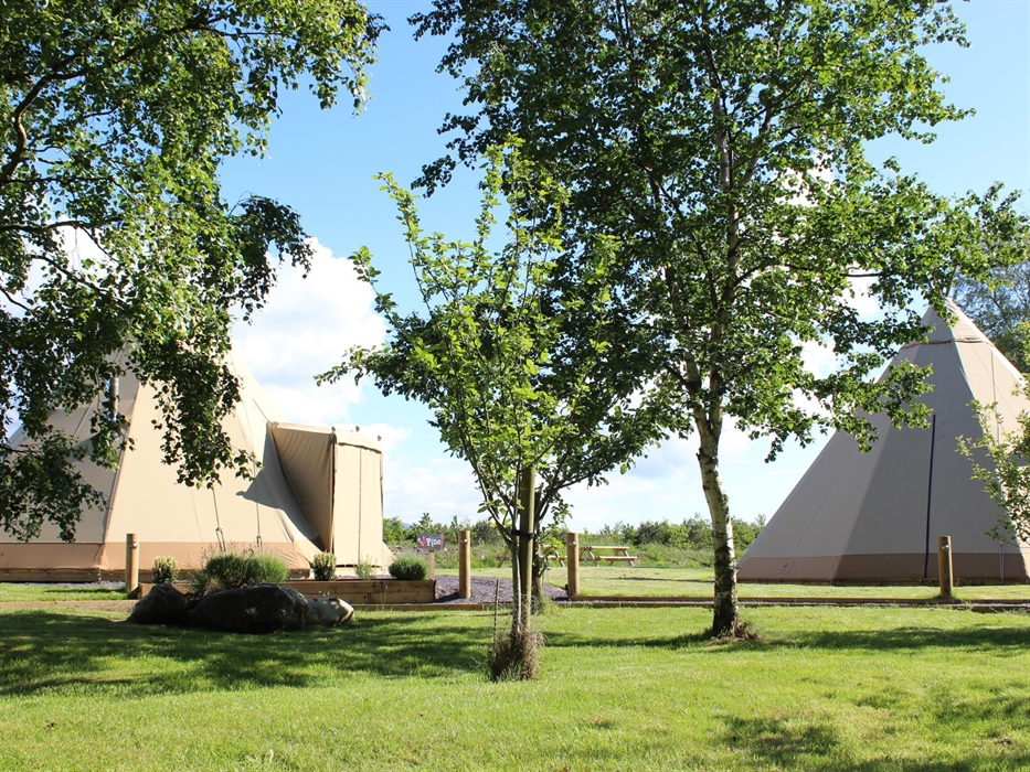 Tipi Glamping Wales