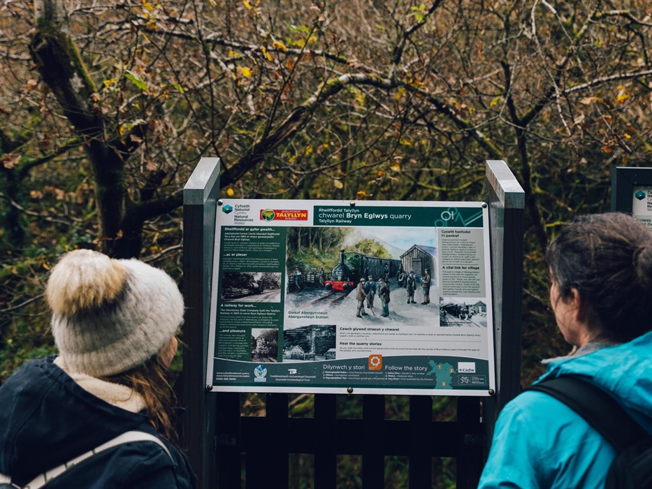 Coed Nant Gwernol heritage information, Dyfi Forest