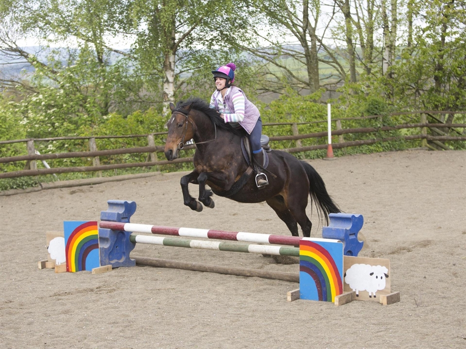 Horse Riding Lessons