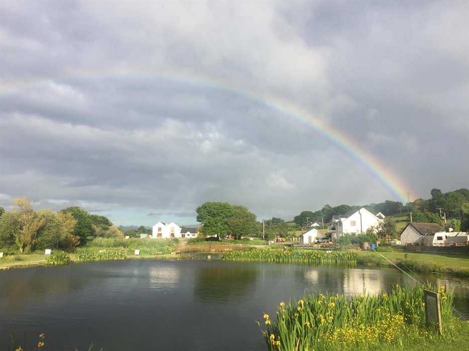 Tan-y-Mynydd Trout Fishery