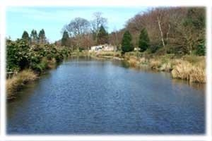 Conwy Water Gardens