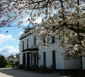 Manor House in Blossom
