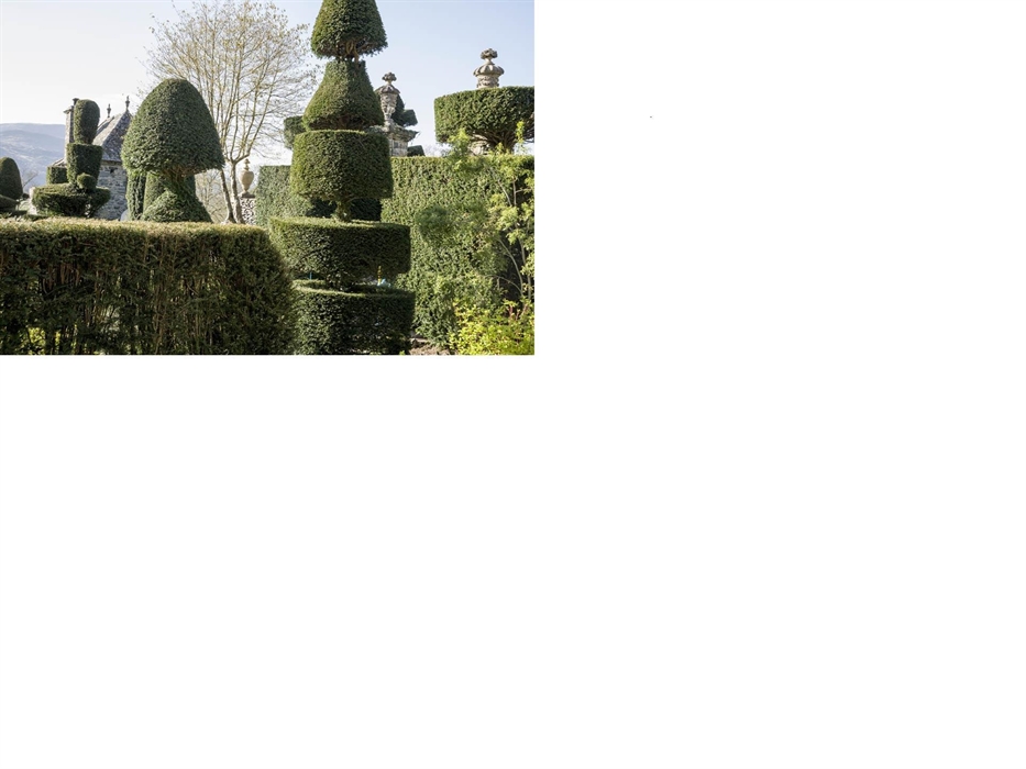 Topiary at the Gardens
