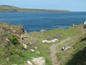 Walking coastal path at Treginnis, St Davids