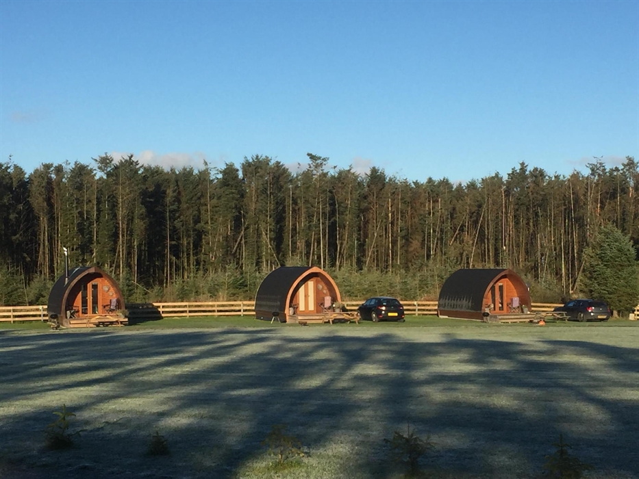 Cabanau moethus gerllaw ein coedwig