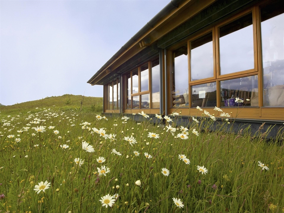 Image Credit: Ben Hall