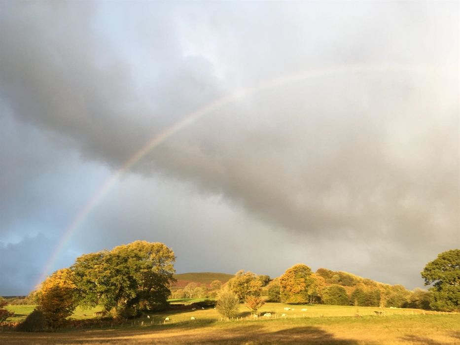 Views from the balcony