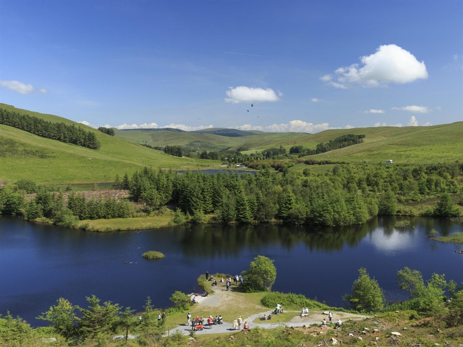 Lake and red kite feeding viewing area