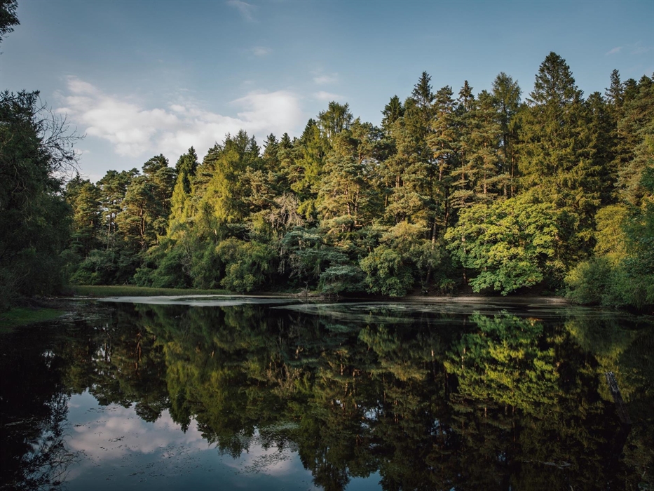 Bod Petryal, Clocaenog Forest