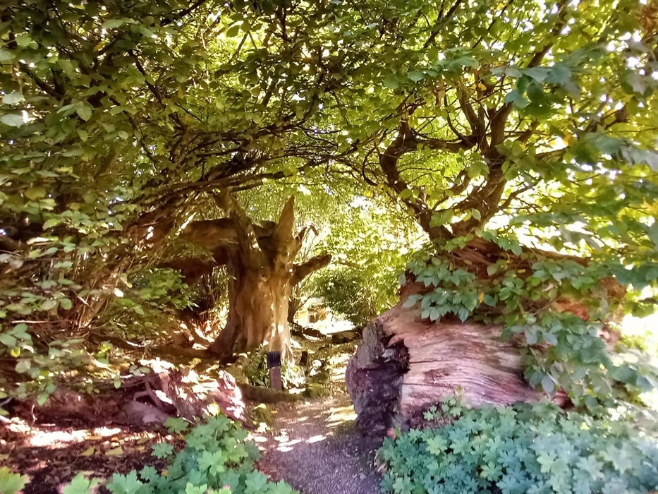 Tree sculpture in center