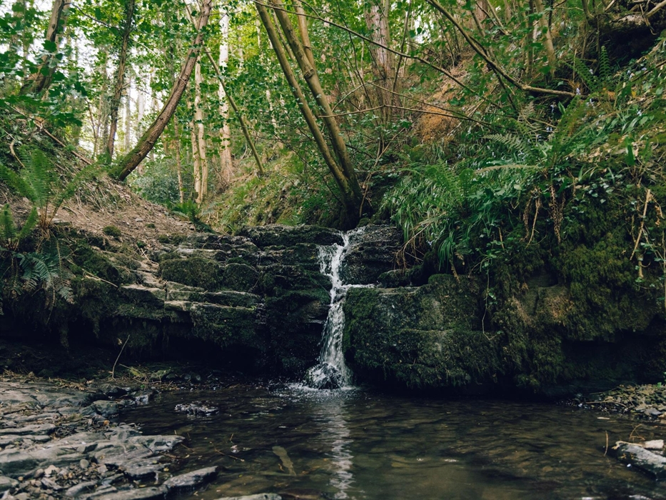 Rhyd y Gaseg, Clocaenog Forest