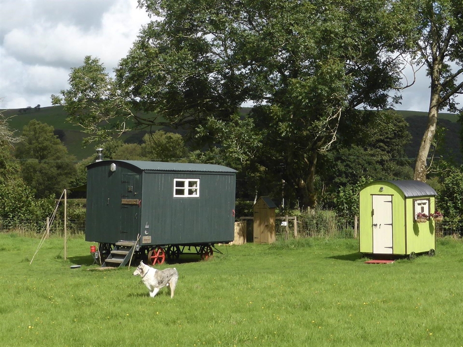 Hygge Hut and the Facilities hut in the meadow and a dog running around.