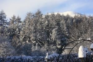 Snowy view from the garden