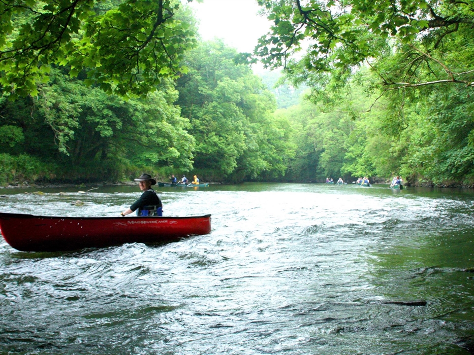 A guided canoe trip along the Teifi gorge