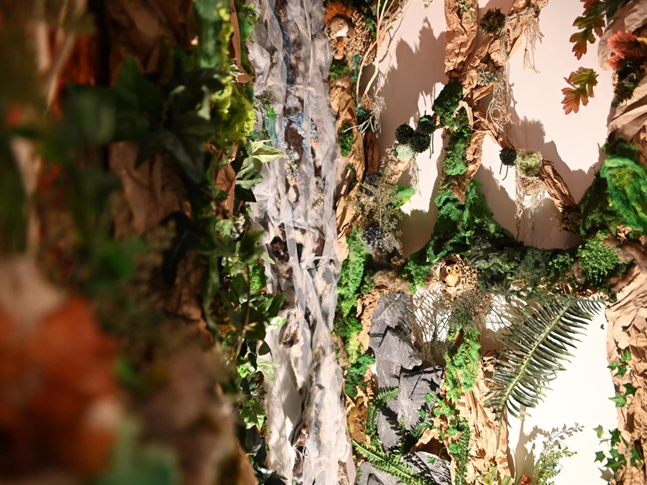 Learn about the unique landscapes of mid Wales