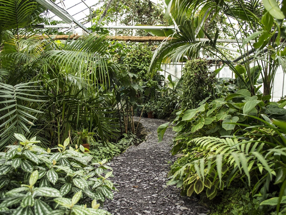 Treborth Botanic Garden