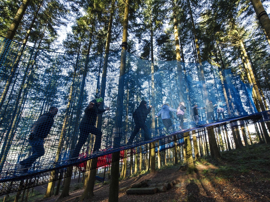 Treetop Nets walkways