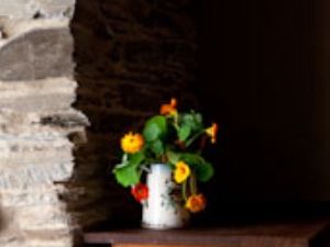 Wild flowers lovingly placed for your arrival