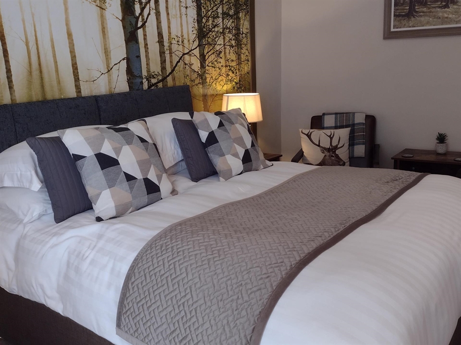 Room 1 Woodland - king bed, en-suite shower room