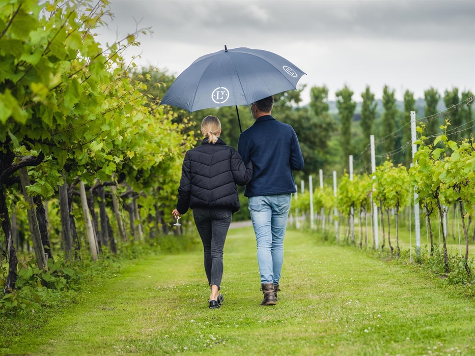 Walking Through Llanerch Vineyard