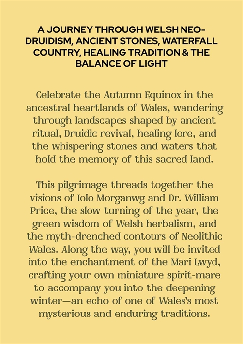 Tour, Autumn, South Wales, Druid