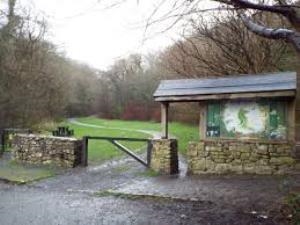 Bishops Wood Nature Reserve