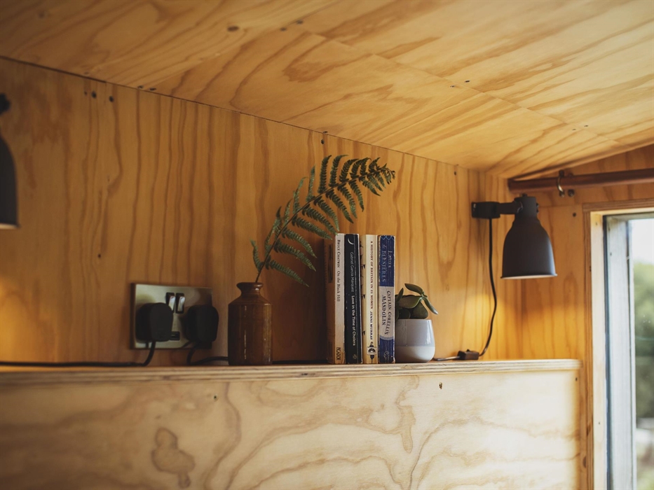 A shelf with books, a fern in a vase and a plant. A lamp shines in the background.